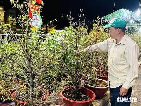 Em chỉ mong đến 30 Tết bán hết hoa để được về quê - Ảnh 7. Em chỉ mong đến 30 Tết bán hết hoa để được về quê - Ảnh 7.