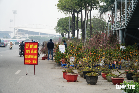 Hà Nội: lan hồ điệp ‘sale sập sàn’ vẫn vắng khách mua - Ảnh 3. Hà Nội: lan hồ điệp ‘sale sập sàn’ vẫn vắng khách mua - Ảnh 3.