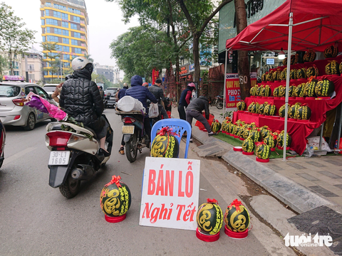 Hà Nội: lan hồ điệp ‘sale sập sàn’ vẫn vắng khách mua - Ảnh 4. Hà Nội: lan hồ điệp ‘sale sập sàn’ vẫn vắng khách mua - Ảnh 4.