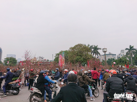 Hà Nội: lan hồ điệp ‘sale sập sàn’ vẫn vắng khách mua - Ảnh 5. Hà Nội: lan hồ điệp ‘sale sập sàn’ vẫn vắng khách mua - Ảnh 5.