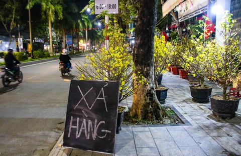 Chợ hoa Tết Quảng Ngãi đồng loạt xả hàng mong thu hồi vốn - Ảnh 3. Chợ hoa Tết Quảng Ngãi đồng loạt xả hàng mong thu hồi vốn - Ảnh 3.