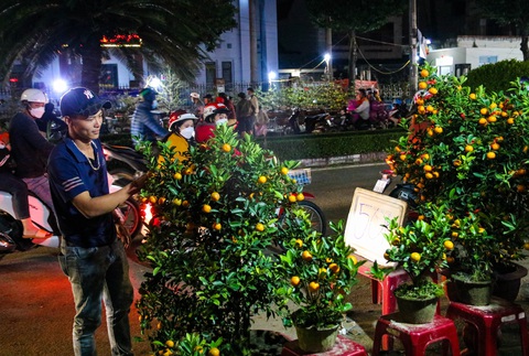 Chợ hoa Tết Quảng Ngãi đồng loạt xả hàng mong thu hồi vốn - Ảnh 2. Chợ hoa Tết Quảng Ngãi đồng loạt xả hàng mong thu hồi vốn - Ảnh 2.