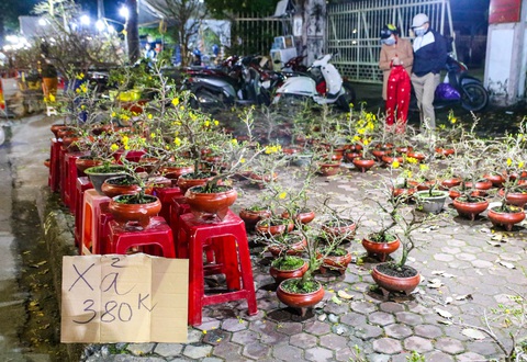 Chợ hoa Tết Quảng Ngãi đồng loạt xả hàng mong thu hồi vốn - Ảnh 1. Chợ hoa Tết Quảng Ngãi đồng loạt xả hàng mong thu hồi vốn - Ảnh 1.