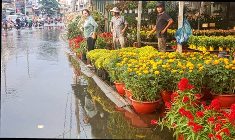Thời tiết hôm nay 21-1: Miền Nam triều cường, miền Bắc trời rét - Ảnh 1. Thời tiết hôm nay 21-1: Miền Nam triều cường, miền Bắc trời rét - Ảnh 1.