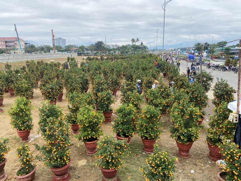 Xả hàng hoa 30 Tết: Không mặc cả, mệt lắm rồi - Ảnh 10. Xả hàng hoa 30 Tết: Không mặc cả, mệt lắm rồi - Ảnh 10.