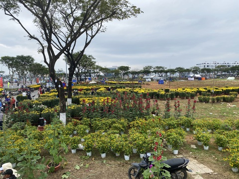 Xả hàng hoa 30 Tết: Không mặc cả, mệt lắm rồi - Ảnh 13. Xả hàng hoa 30 Tết: Không mặc cả, mệt lắm rồi - Ảnh 13.