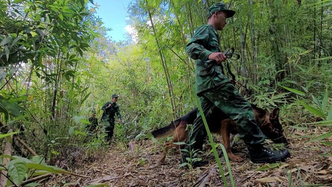 Tuần tra xuyên giao thừa nơi ngã ba biên giới - Ảnh 2. Tuần tra xuyên giao thừa nơi ngã ba biên giới - Ảnh 2.