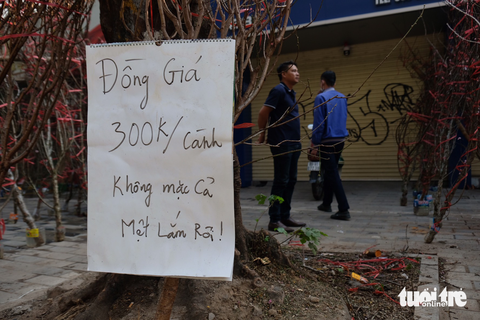 Xả hàng hoa 30 Tết: Không mặc cả, mệt lắm rồi - Ảnh 1. Xả hàng hoa 30 Tết: Không mặc cả, mệt lắm rồi - Ảnh 1.
