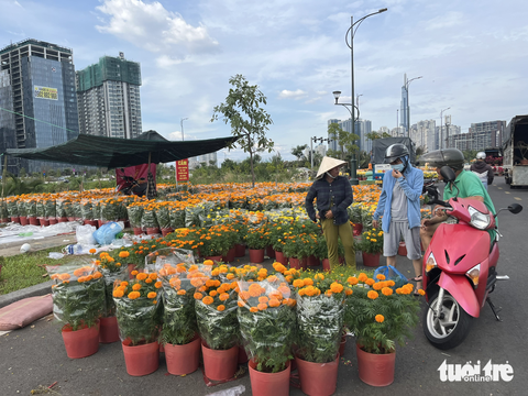 Chợ hoa Tết đóng cửa, người bán ráng vớt vát cú chót - Ảnh 4. Chợ hoa Tết đóng cửa, người bán ráng vớt vát cú chót - Ảnh 4.