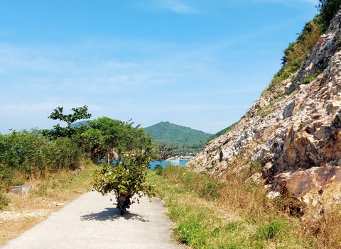 Săn mai rừng ở đảo Nam Du - Ảnh 8. Săn mai rừng ở đảo Nam Du - Ảnh 8.