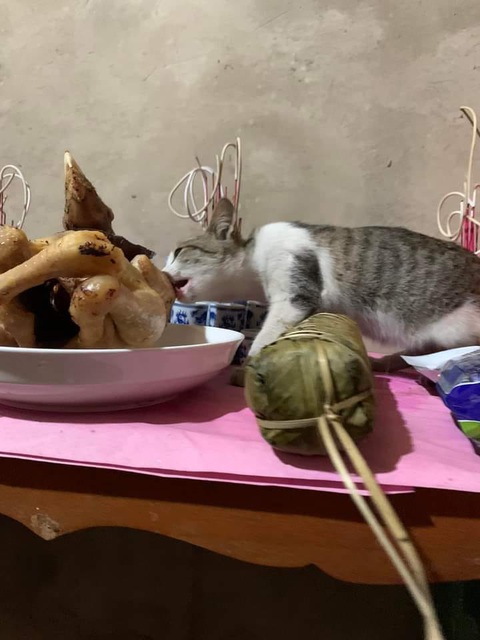 Loạt ảnh cảm lạnh mùng 1 Tết khiến dân tình cười rần rần - Ảnh 2. Loạt ảnh cảm lạnh mùng 1 Tết khiến dân tình cười rần rần - Ảnh 2.