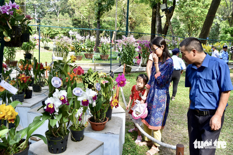 Nắng đẹp, người dân TP.HCM đi đường hoa, đi chùa cầu an - Ảnh 6. Nắng đẹp, người dân TP.HCM đi đường hoa, đi chùa cầu an - Ảnh 6.