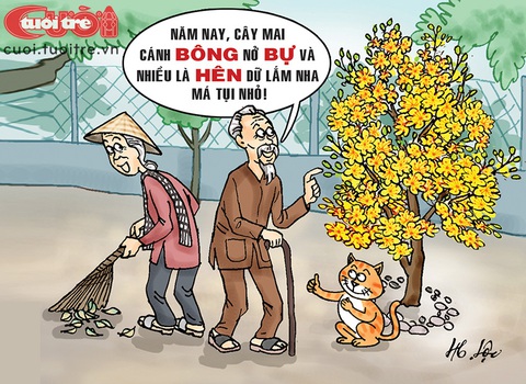 Mai vàng rực rỡ báo hiệu năm mới hạnh phúc ngập tràn - Ảnh 1. Mai vàng rực rỡ báo hiệu năm mới hạnh phúc ngập tràn - Ảnh 1.