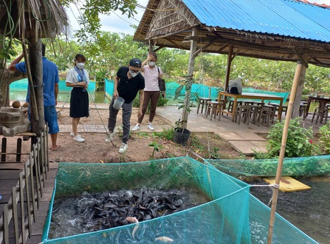 Mùng 1 Tết, du xuân đến nơi độc lạ của Cần Thơ - Ảnh 4. Mùng 1 Tết, du xuân đến nơi độc lạ của Cần Thơ - Ảnh 4.
