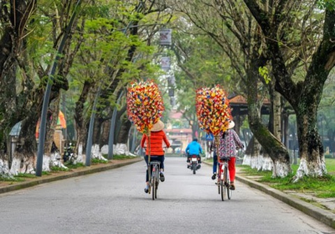 Đường về nhà xa nữa giữa những ngày bệnh tật níu chân - Ảnh 3. Đường về nhà xa nữa giữa những ngày bệnh tật níu chân - Ảnh 3.