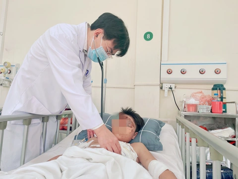 Tin tức sáng 27-1: Đăng kiểm hoạt động trở lại; Giá heo giảm cả 3 miền - Ảnh 4. Tin tức sáng 27-1: Đăng kiểm hoạt động trở lại; Giá heo giảm cả 3 miền - Ảnh 4.