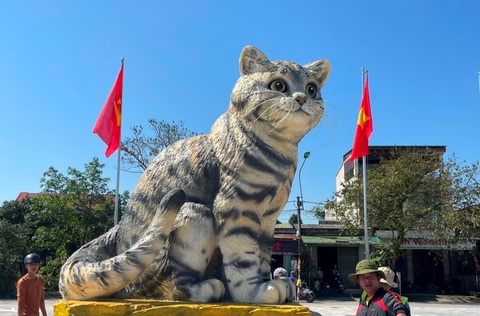 Quảng Trị tặng bằng khen cho người tạo ra ‘hoa hậu mèo’ duyên dáng nhất Tết Nguyên đán - Ảnh 1. Quảng Trị tặng bằng khen cho người tạo ra ‘hoa hậu mèo’ duyên dáng nhất Tết Nguyên đán - Ảnh 1.