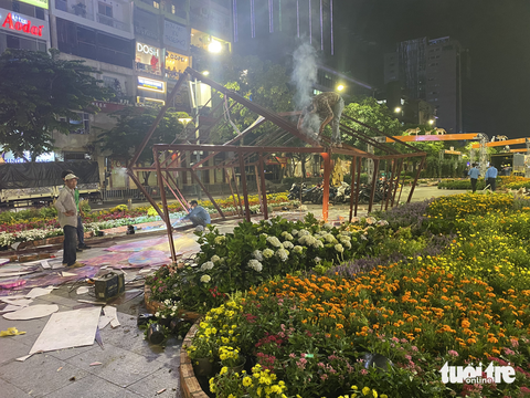 Đường hoa Nguyễn Huệ được dọn trong đêm, hoa còn đẹp đưa về các công viên - Ảnh 2. Đường hoa Nguyễn Huệ được dọn trong đêm, hoa còn đẹp đưa về các công viên - Ảnh 2.