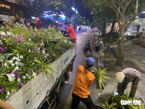 Đường hoa Nguyễn Huệ được dọn trong đêm, hoa còn đẹp đưa về các công viên - Ảnh 1. Đường hoa Nguyễn Huệ được dọn trong đêm, hoa còn đẹp đưa về các công viên - Ảnh 1.