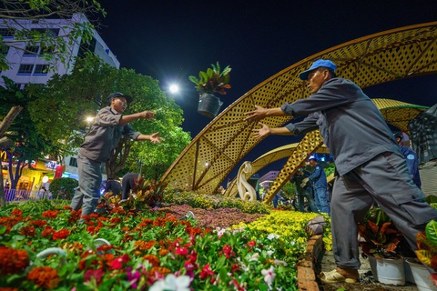 Những chậu hoa còn tươi sẽ được chuyển về các công viên khác trong thành phố - Ảnh: NHƯ BÌNH Những chậu hoa còn tươi sẽ được chuyển về các công viên khác trong thành phố - Ảnh: NHƯ BÌNH
