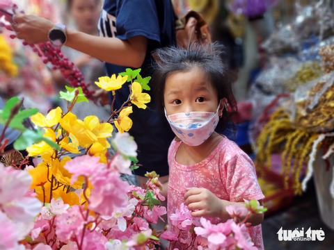 Người Sài Gòn tấp nập mua đồ trang trí Tết - Ảnh 5. Người Sài Gòn tấp nập mua đồ trang trí Tết - Ảnh 5.