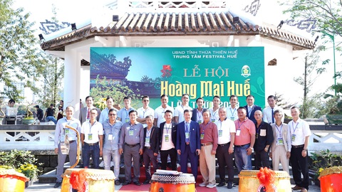 Lễ hội Hoàng mai Huế lần thứ I: Lễ hội của “hoa vua” - Ảnh 2. Lễ hội Hoàng mai Huế lần thứ I: Lễ hội của “hoa vua” - Ảnh 2.