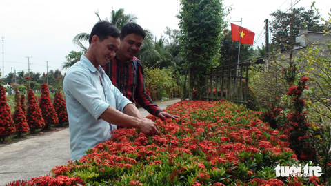 Hàng rào đỏ rực tại miền Tây, ai qua cũng ngoái nhìn - Ảnh 2. Hàng rào đỏ rực tại miền Tây, ai qua cũng ngoái nhìn - Ảnh 2.