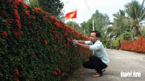 Hàng rào đỏ rực tại miền Tây, ai qua cũng ngoái nhìn - Ảnh 4. Hàng rào đỏ rực tại miền Tây, ai qua cũng ngoái nhìn - Ảnh 4.