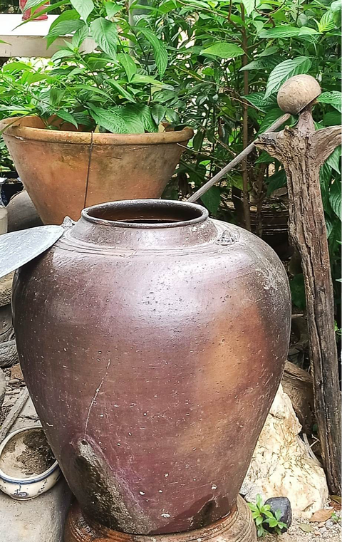 Về nhà hong nắng vàng ươm sân vườn - Ảnh 2. Về nhà hong nắng vàng ươm sân vườn - Ảnh 2.