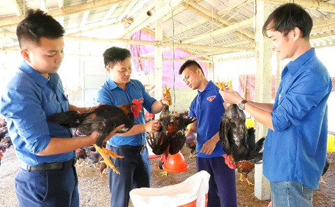 Tìm thương hiệu cho đặc sản quê nhà - Ảnh 1. Tìm thương hiệu cho đặc sản quê nhà - Ảnh 1.