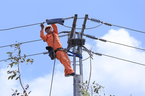 Điện lực miền Nam: Dòng điện “chạy” an toàn, đầy đủ trong dịp Tết Nguyên đán - Ảnh 3. Điện lực miền Nam: Dòng điện “chạy” an toàn, đầy đủ trong dịp Tết Nguyên đán - Ảnh 3.