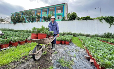 Ra ngoại thành TP.HCM xem nhà vườn chăm hoa kiểng Tết - Ảnh 2. Ra ngoại thành TP.HCM xem nhà vườn chăm hoa kiểng Tết - Ảnh 2.