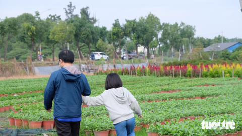 Ra ngoại thành TP.HCM xem nhà vườn chăm hoa kiểng Tết - Ảnh 8. Ra ngoại thành TP.HCM xem nhà vườn chăm hoa kiểng Tết - Ảnh 8.