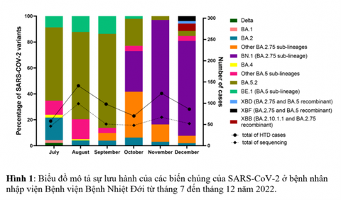 TP.HCM ghi nhận biến chủng phụ XBB của Omicron - Ảnh 1. TP.HCM ghi nhận biến chủng phụ XBB của Omicron - Ảnh 1.