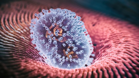Phát hiện sinh vật đầu tiên trên thế giới chỉ ăn virus để sống - Ảnh 1. Phát hiện sinh vật đầu tiên trên thế giới chỉ ăn virus để sống - Ảnh 1.