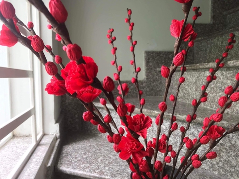 Thưởng không như mơ, bạn trẻ sắm Tết ra sao? - Ảnh 2. Thưởng không như mơ, bạn trẻ sắm Tết ra sao? - Ảnh 2.