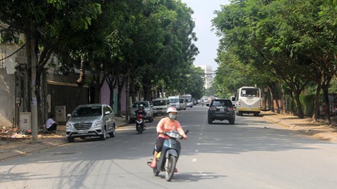 Tin tức sáng 5-1: Giá thịt heo bán lẻ giảm sốc cận Tết; TP.HCM nâng mức chuẩn nghèo - Ảnh 5. Tin tức sáng 5-1: Giá thịt heo bán lẻ giảm sốc cận Tết; TP.HCM nâng mức chuẩn nghèo - Ảnh 5.