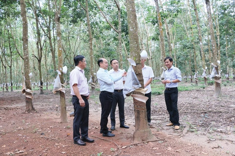 Tập đoàn Công nghiệp Cao su Việt Nam (VRG): Chủ động nhiều giải pháp để hoàn thành nhiệm vụ - Ảnh 3. Tập đoàn Công nghiệp Cao su Việt Nam (VRG): Chủ động nhiều giải pháp để hoàn thành nhiệm vụ - Ảnh 3.