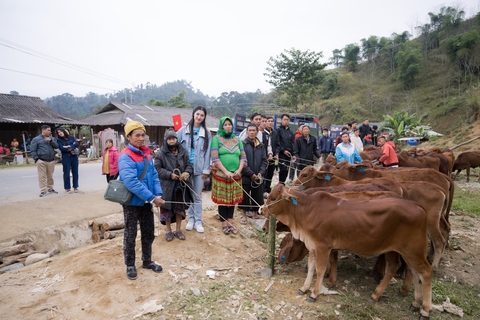 Ô là la, ra mà xem á hậu Phương Nhi dẫn bò về làng - Ảnh 3. Ô là la, ra mà xem á hậu Phương Nhi dẫn bò về làng - Ảnh 3.
