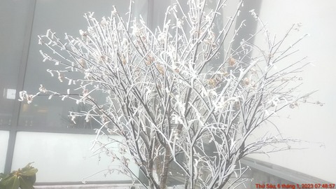Thời tiết miền Bắc: Băng giá bao phủ đỉnh Fansipan - Ảnh 2. Thời tiết miền Bắc: Băng giá bao phủ đỉnh Fansipan - Ảnh 2.