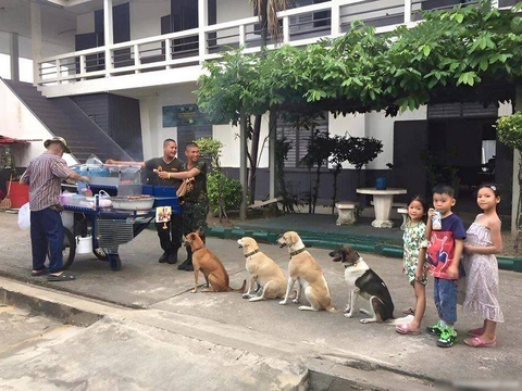 Ảnh vui 7-1: Chú mèo hết chỗ để nằm khiến ai nấy giật cả mình - Ảnh 5. Ảnh vui 7-1: Chú mèo hết chỗ để nằm khiến ai nấy giật cả mình - Ảnh 5.