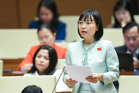 Đại biểu lo quy hoạch tổng thể quốc gia liệt kê cơ học, ôm đồm - Ảnh 1. Đại biểu lo quy hoạch tổng thể quốc gia liệt kê cơ học, ôm đồm - Ảnh 1.