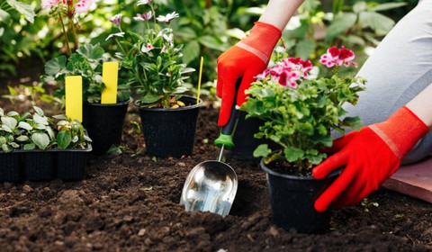 Tập thể dục theo tuổi, tuổi nào nên chạy, đi bộ hay tham gia các môn khác? - Ảnh 2. chạy bộ - Ảnh 2.