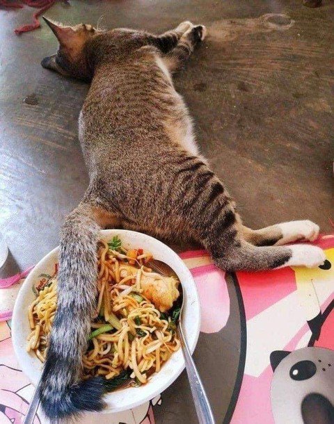 Ảnh vui 9-1: Tá hỏa với chỗ ngủ êm ái của thần cồn - Ảnh 3. Ảnh vui 9-1: Tá hỏa với chỗ ngủ êm ái của thần cồn - Ảnh 3.