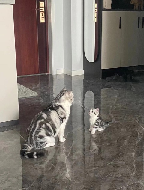 Ảnh vui 9-1: Tá hỏa với chỗ ngủ êm ái của thần cồn - Ảnh 4. Ảnh vui 9-1: Tá hỏa với chỗ ngủ êm ái của thần cồn - Ảnh 4.