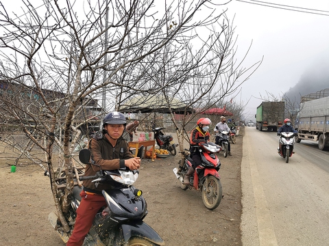 Tin tức sáng 23-3: Công ty liên quan ông Bùi Thành Nhơn đăng ký bán 5 triệu cổ phiếu Novaland - Ảnh 2. Tin tức sáng 23-3: Công ty liên quan ông Bùi Thành Nhơn đăng ký bán 5 triệu cổ phiếu Novaland - Ảnh 2.