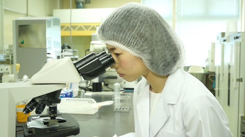 Giảm tác hại của hóa, xạ trị ung thư bằng liệu pháp tự nhiên - Ảnh 4. Giảm tác hại của hóa, xạ trị ung thư bằng liệu pháp tự nhiên - Ảnh 4.