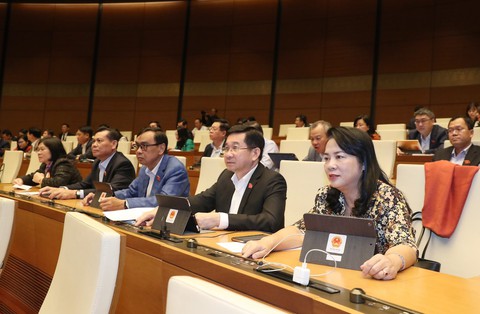 Quốc hội cho phép gia hạn giấy đăng ký lưu hành thuốc hết hạn - Ảnh 1. Quốc hội cho phép gia hạn giấy đăng ký lưu hành thuốc hết hạn - Ảnh 1.