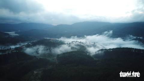 Đà Lạt khôi phục đường chạy trail 100km trong rừng - Ảnh 2. Cự ly 100km gần như hoàn toàn nằm trong rừng - Ảnh: M.V.