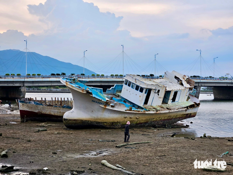 Nghĩa địa xác tàu dưới dòng sông ở Nha Trang - Ảnh 1. Những xác tàu nằm ngổn ngang dưới chân cầu Bình Tân - Ảnh: MINH CHIẾN